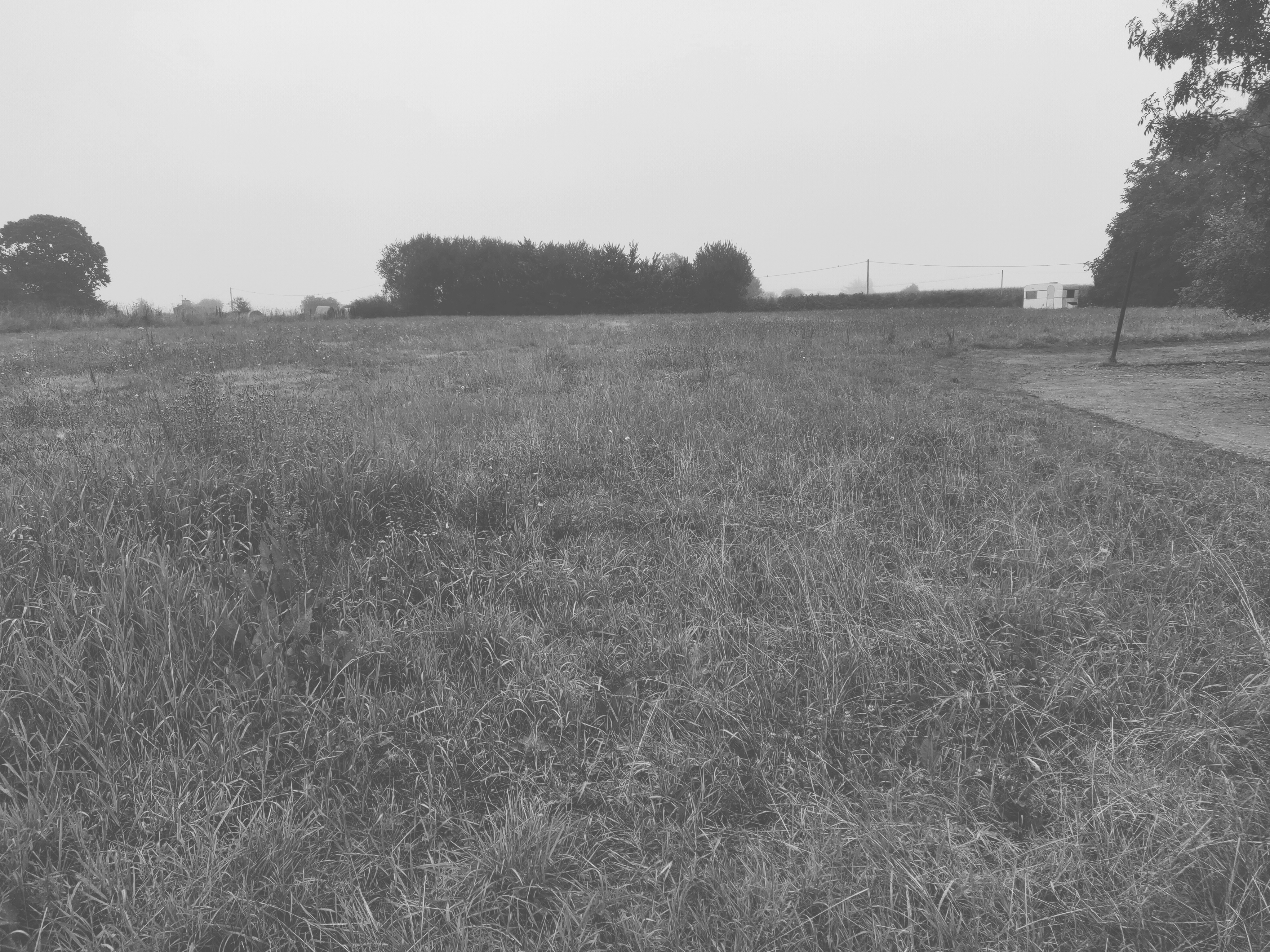 Image du terrain