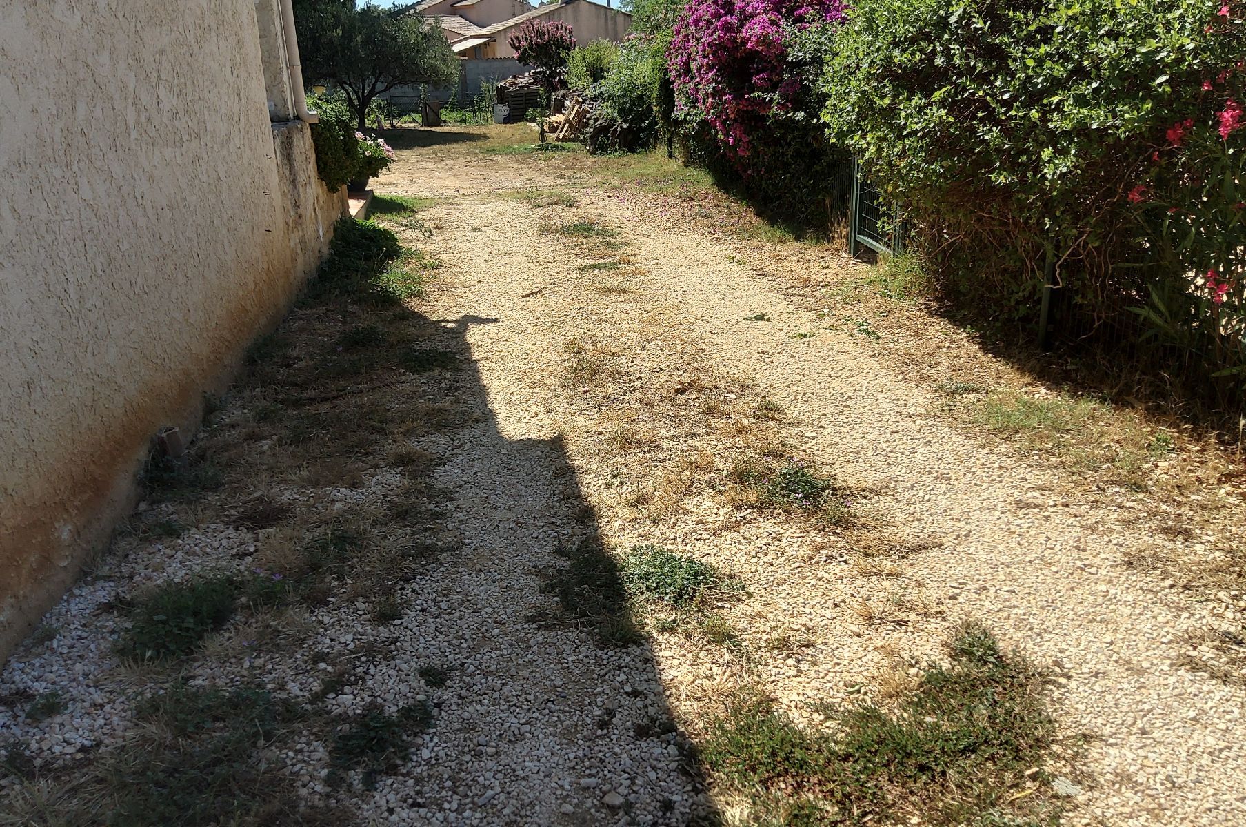 Image de l'emplacement